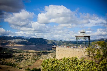 Ronda-dagtrip vanuit Granada